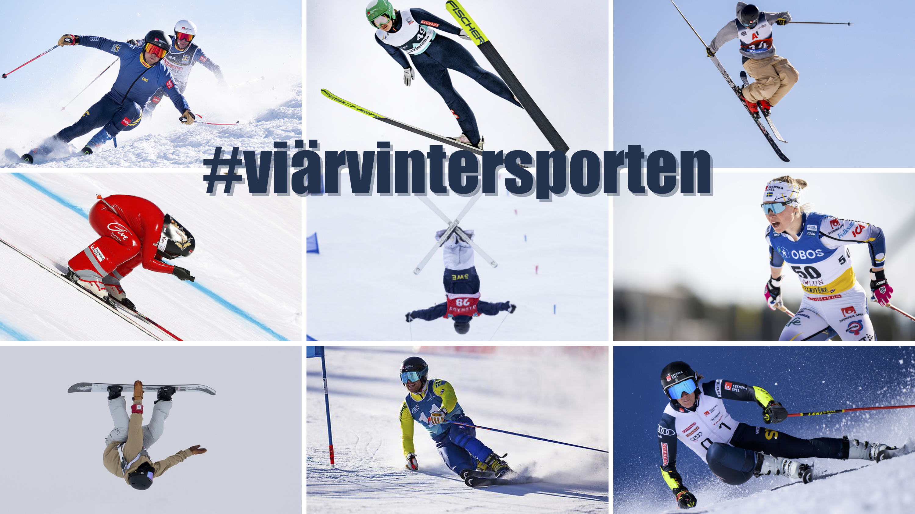 En bild