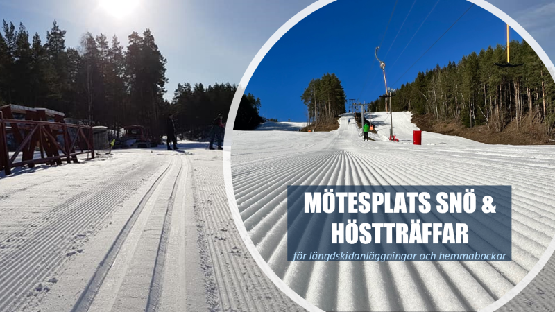 En bild